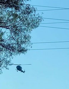 12K views · 486 reactions | Ok folks I guess a post is needed. For...