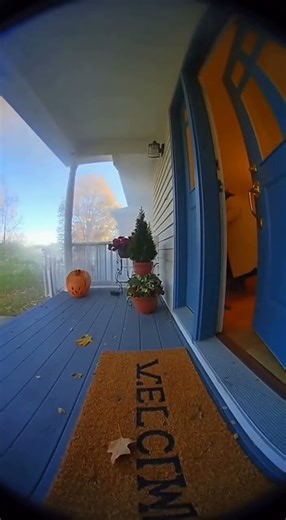 Kitten Explodes Like a Bomb on Doorstep—Epic Chaos Captured by Door Cam! 🐱💣💥