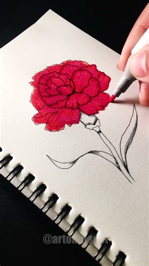 Why Red Carnations Are Perfect for Alcohol Marker Art | Alcohol Markers + Red Carnation 🌺