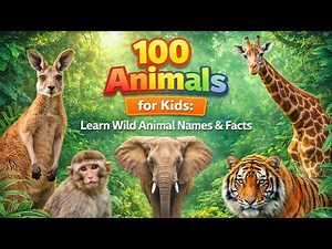 100 Animals for Kids | Learn Wild Animal Names and Facts