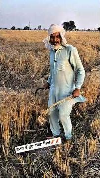ਕਣਕ ਵਿਚੋਂ ਮਿਲਿਆ ਟੂਣਾ ਟੋਟਕਾ #comedy #trending #funny #shorts #punjabi