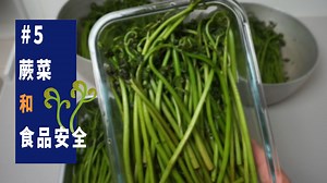 蕨菜安全食用指南