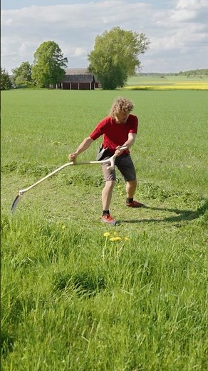 Getting ready for a summer of scything!