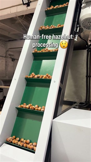 Quality Control Inspection Table #walnut #nut