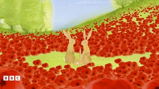 Poppies