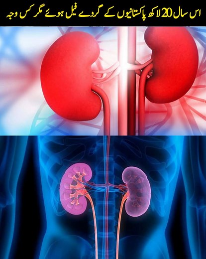 650K views · 20K reactions | وہ ایک چیز جس کی وجہ سے پاکستانی 20 لاکھ لوگوں کے گردے فیل ہو گئے اس سال | JR Network | Facebook