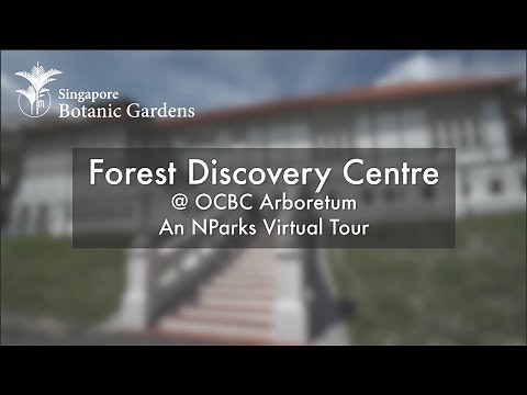 Forest Discovery Centre @ OCBC Arboretum | An NParks Virtual Tour