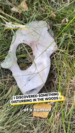 Woman discovers bones in woods
