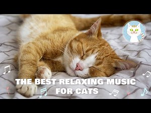 [Cat music] The best relaxing music for cats | soft bell sounds & cat's rumbling sound.