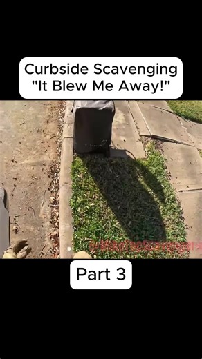 Curbside Scavenging