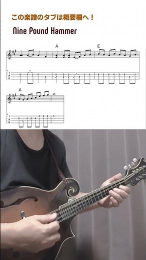 Nine Pound Hammer on Mandolin #その他のブルーグラスマンドリンのレッスンはこちら #bluegrass