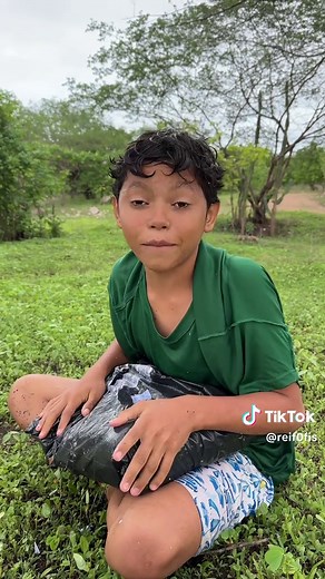 Os vídeos de fofis (@reif0fis) com Piano famous song Chopin Deep deep clear beauty - RYOpianoforte