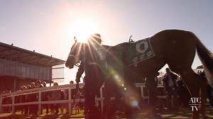 17K views · 68 reactions | There are just two weeks left to get best-price tickets for all Everest Carnival race days at Royal Randwick and Rosehill Gardens. Enjoy discounted tickets until 31 July and be part of the world's richest race on turf! https://www.australianturfclub.com.au/spring-racing/ | Australian Turf Club | Facebook