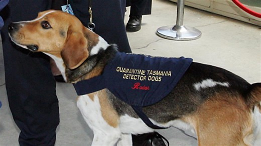 ‘Seriously unwell’: Tassie teen fighting rare disease