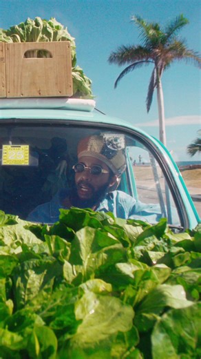 Protoje and Jr. Gong Collaboration: A New Tune