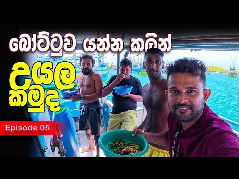 Before They Sail 🌊 Fishermen Cooked Delicious Meals on the Boat | Sri Lankan Food Vlog | Must Watch!