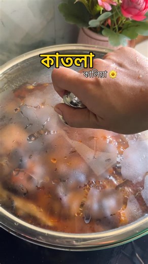 Saturday’s lunch sorted with this Authentic Katla Kalia 🐟🔥 This traditional Bengali fish curry is rich, spicy, and loaded with flavour …exactly how a proper Bangali macher kalia should be! Soft, juicy Katla machh cooked in thick onion-tomato masala gravy with aromatic whole spices….perfect with gorom bhaat 🍚❤️ If you’re searching for the best Katla Kalia recipe, Bengali fish curry recipe, Kolkata style macher kalia, or authentic Bangali Sunday special lunch ideas,this one is a must try! Save 