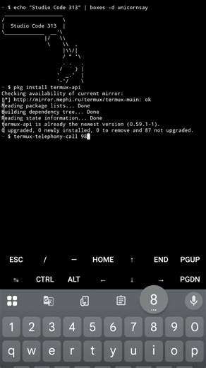 Call a Termux code line.