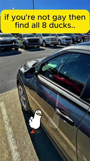 [ Can You Find All 8 Ducks ] | Hard Challenge | #brainchallenge #spotthedifferencegam #memes