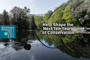 2021-2031 Strategic Plan