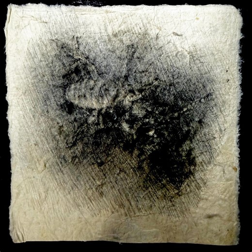 Insectes anges / Zoraptera - Le petit dessin original de Yori Hatakeyama - Etsy France