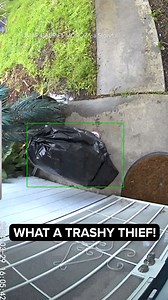 That's some greedy garbage... Door camera footage shows a person crouched underneath a garbage bag stealing a package. 😂 https://abc7ny.com/porch-pirate-stolen-package-trash-bag-theft/14615986/ | ABC7NY