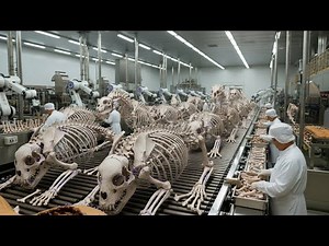 From Animal Bones to Premium Buttons | Inside a Traditional Button-Making Workshop (Full Process)