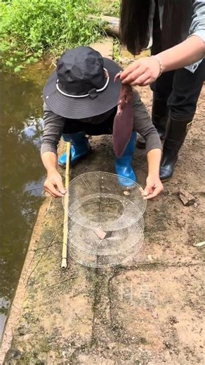 "Mastering the Art of Fishing 🐟- Pro Tips & Big Catches!"😯🔥#shorts #fishing #youtubeshorts #art