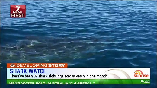 Perth swimmers are on high alert, after eight shark sightings over the weekend. www.7News.com.au #Perth #7News | 7NEWS Sydney