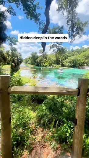 11/10 River 🌈 | Rainbow River, Florida