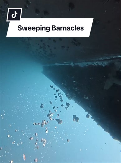 Efficient Barnacle Sweeping Techniques for Divers