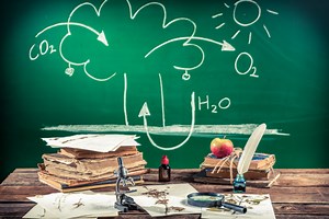 A-LEAF: An artificial leaf mimicking the process of photosynthesis