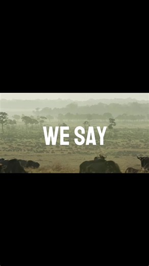 Let It Grow Lorax petition and donations for climate change & food waste