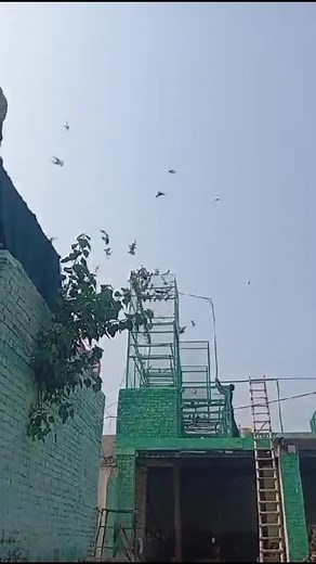 Sheikhupura School Principal Scandal Uncovered