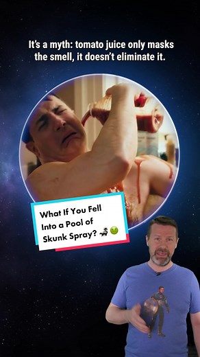 How many skunks would it take to fill a pool with their spray? #WhatIfShow #LearnOnTikTok #TikTokPartner #SciFi #Skunk #Animal #Animals #Wildlife #Stink #Smell #Sprayed
