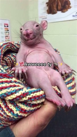 Mastering Roblox Gaming: Tips for Ragdoll Engine and Tower of Hell