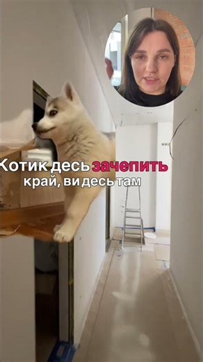 Що обрати для стін в коридорі?