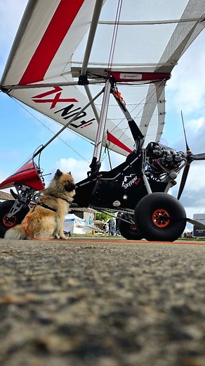 ✈️ Air Création rejoint les légendes de l’aviation ✨ Week-end exceptionnel à La Ferté-Alais pour le Temps des Hélices ! Notre Skypper Bush trônait fièrement sur le stand de la @ffplum , au cœur d’un événement mythique 🔥 Des rencontres passionnantes, des échanges inspirants, une ambiance unique – bref, que du bonheur 🙌 Bravo aux organisateurs pour cette édition magistrale 👏 Merci à tous les passionnés venus partager ce moment avec nous 💙 #aircreationtrike #TempsDesHélices #ULM #SkypperBush #M