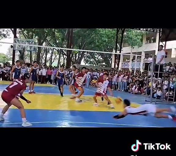 Dolphin Dive Volleyball Technique Explained