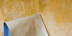 Best pest advice: silverfish