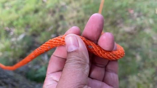 031f57e4822344ffbdbf3e4c6709fa4c