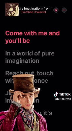 Pure Imagination by Timothée Chalamet - Wonka Soundtrack