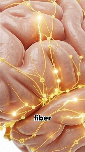 What Happens Inside Your Body When You Eat Millet? (3D Animation)