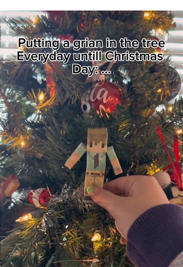 Until next year #grian #pleasehold