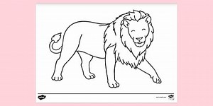 Printable Lion Colouring Page