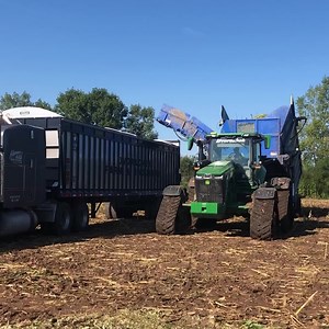 All things considered, day one of silage harvest 2021 went extremely well! We now have six well tuned forage harvesters, a fleet of semis, 10 packing tractors and a small army of farmers hard at work bringing the crop in from the fields. https://live4.brownrice.com/embed/corncam1 If you’ve had a chance to check out the link to our live feed from the corn pile cam, you can tell by the size of the pile that for a first day, yesterday went pretty well! For the past 35 harvests, Our Family has been 