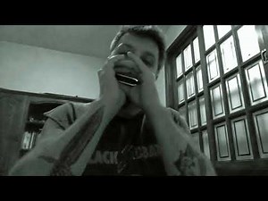 Blowin' In The Wind - Bob Dylan (On Harmonica with Tab - na Gaita c/Tablatura)