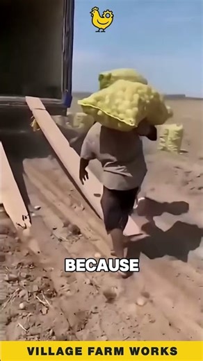 Most DANGEROUS Way to Load a Truck #ManualLabor