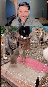 Comedy video mazedar hasi mazak #funny #ekmotahathighumechala #comedymovies #comedy