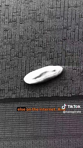 Human vs Nature: Pollen on a 20-Year-Old CPU